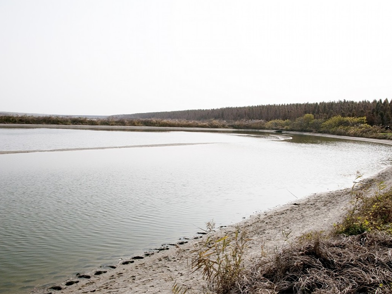 水質(zhì)總磷檢測儀原理(水質(zhì)總磷檢測儀操作步驟)