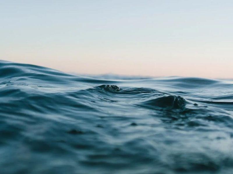 入海河流總氮管控現(xiàn)狀