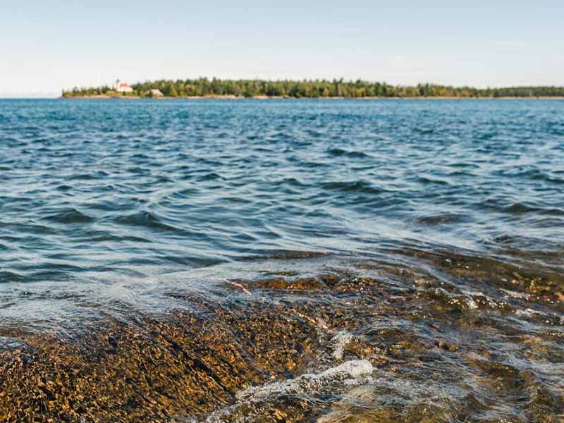 BOD超標對水質(zhì)有什么影響