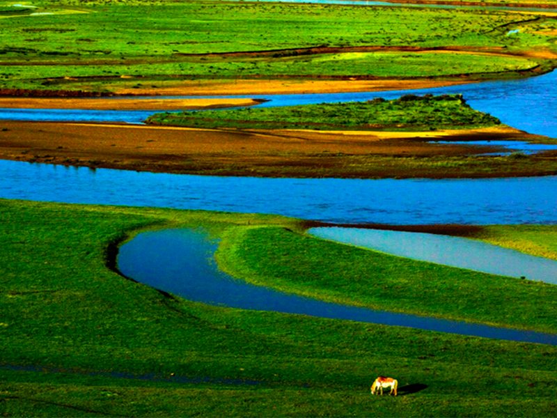 水質(zhì)總氮超標(biāo)的原因(水質(zhì)總氮超標(biāo)的處理方法)