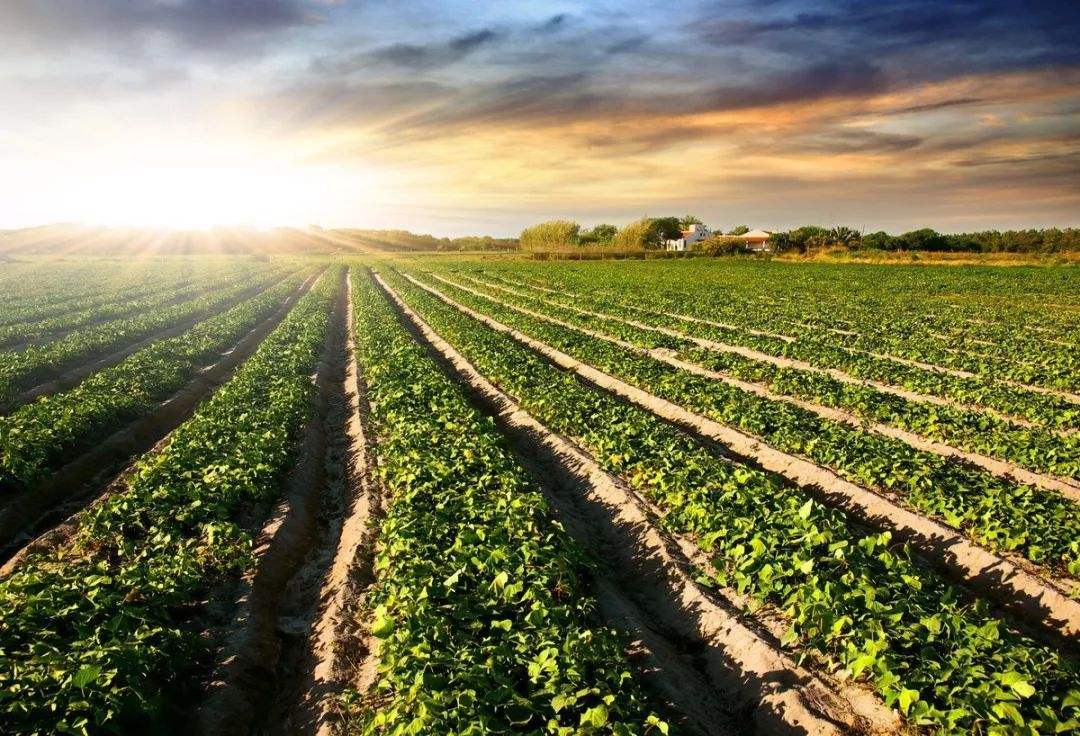 土壤肥料快速測試儀